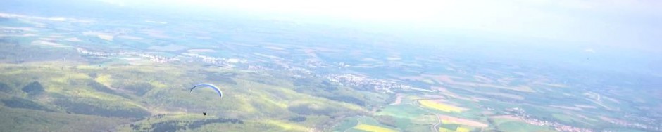 pdgfc.de