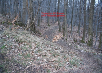 ZugangNO.jpg