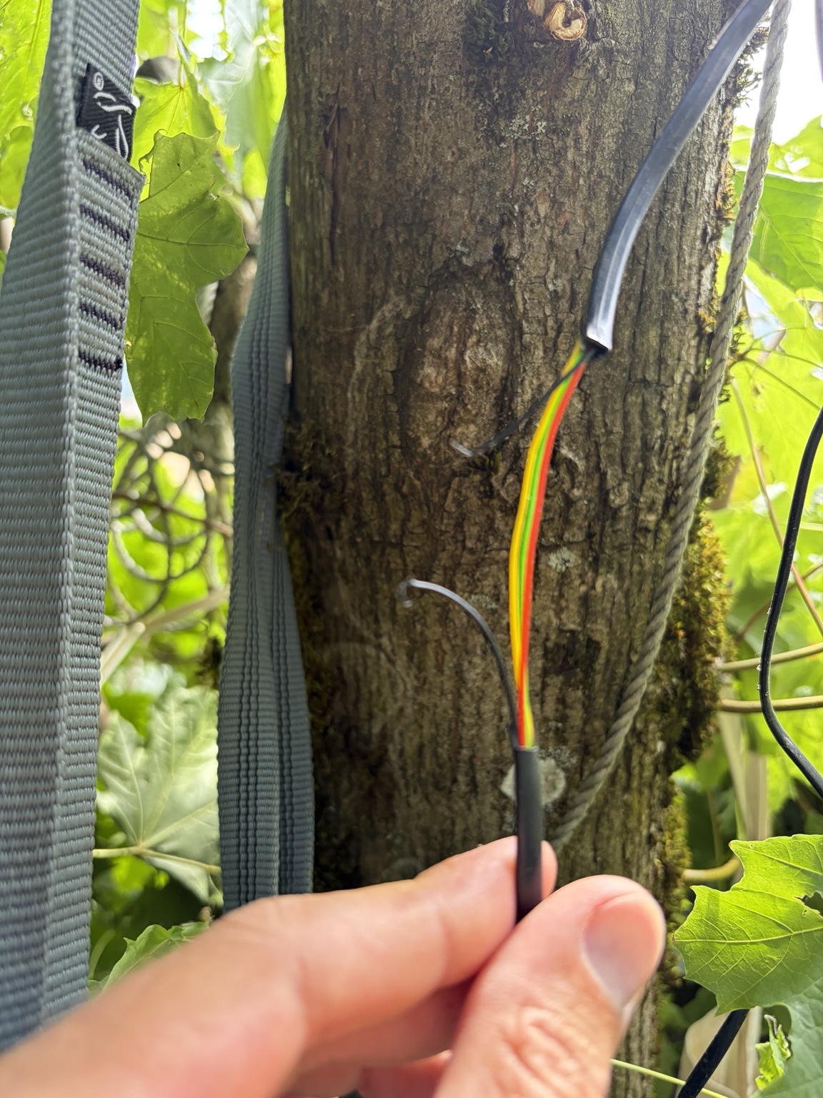 Durchtrenntes Kabel der Holfuy-Wetterstation vor der Reparatur